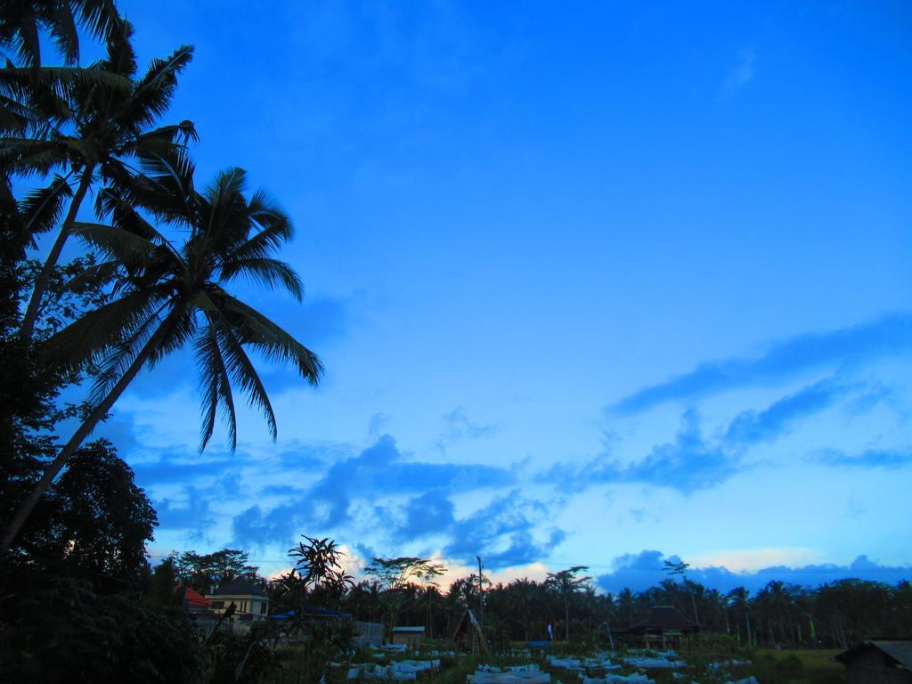 Hars Garden Tree Houses Otel Ubud Dış mekan fotoğraf